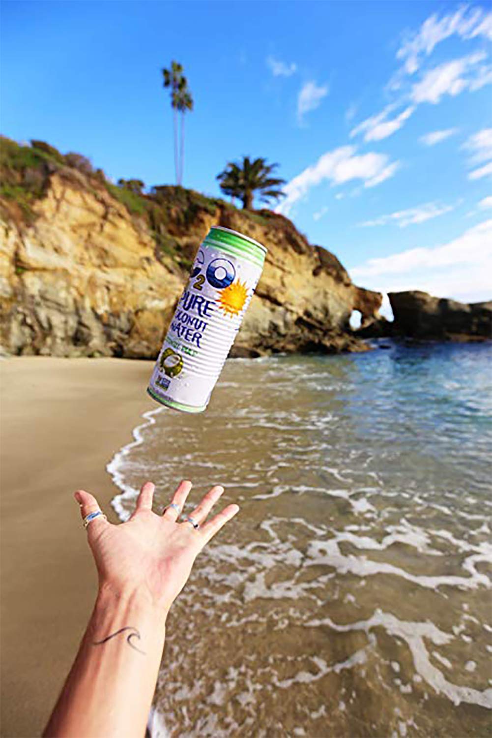 17.5 FL OZ Pack of 12 Pure Coconut Water with Pulp L69828