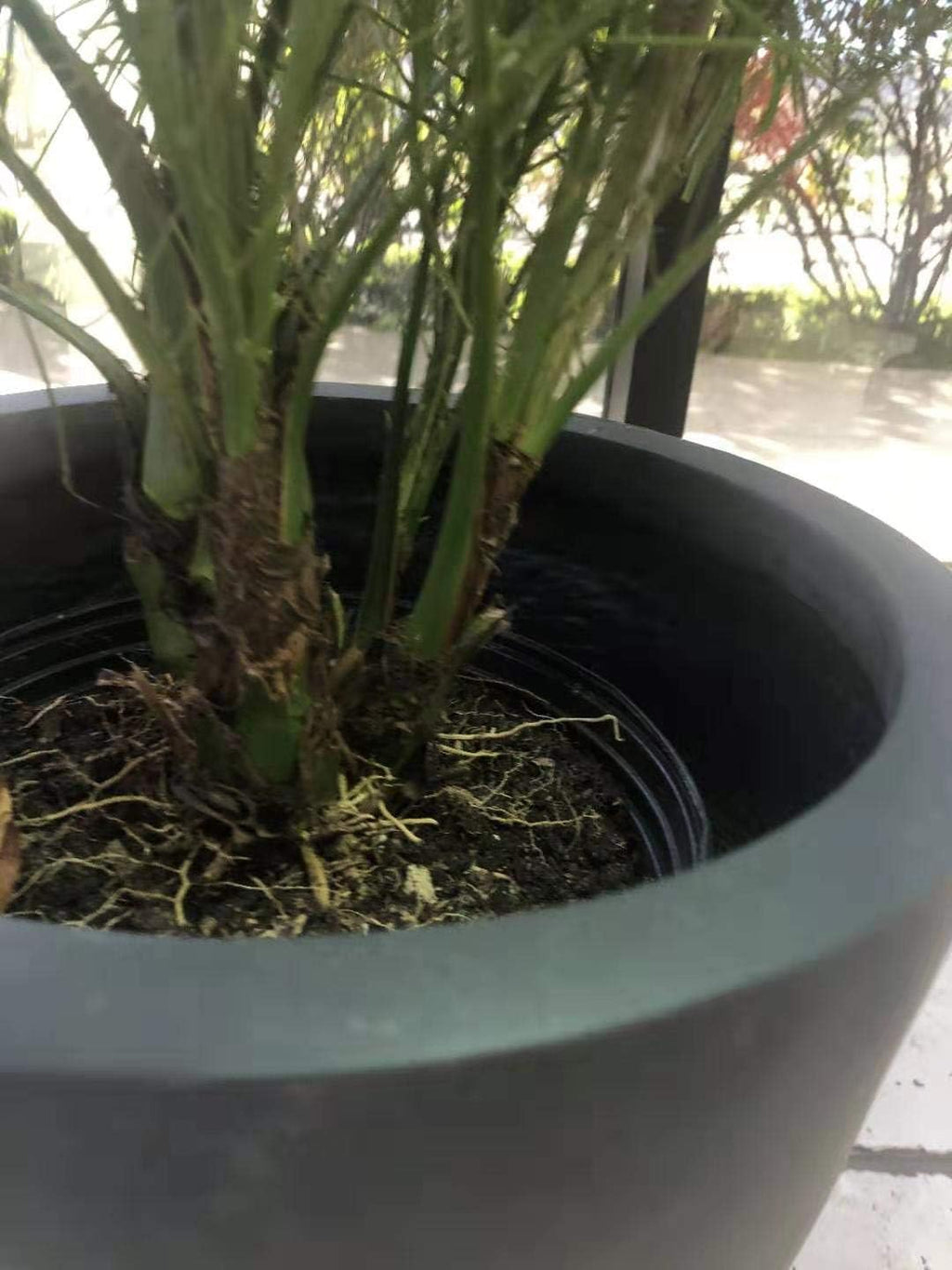 Charcoal Lightweight Concrete Fiberglass Round Bowl Planter G4749