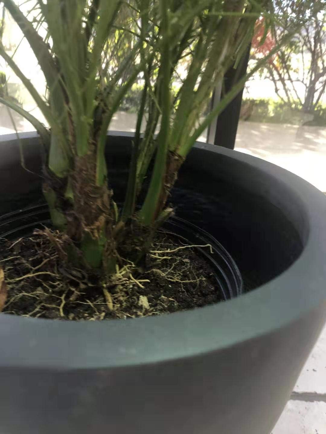 Charcoal Lightweight Concrete Fiberglass Round Bowl Planter G4749
