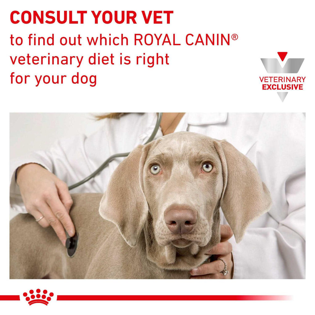 Veterinary Diet Canine Renal Support D Morsels in Gravy Canned Dog Food B343943