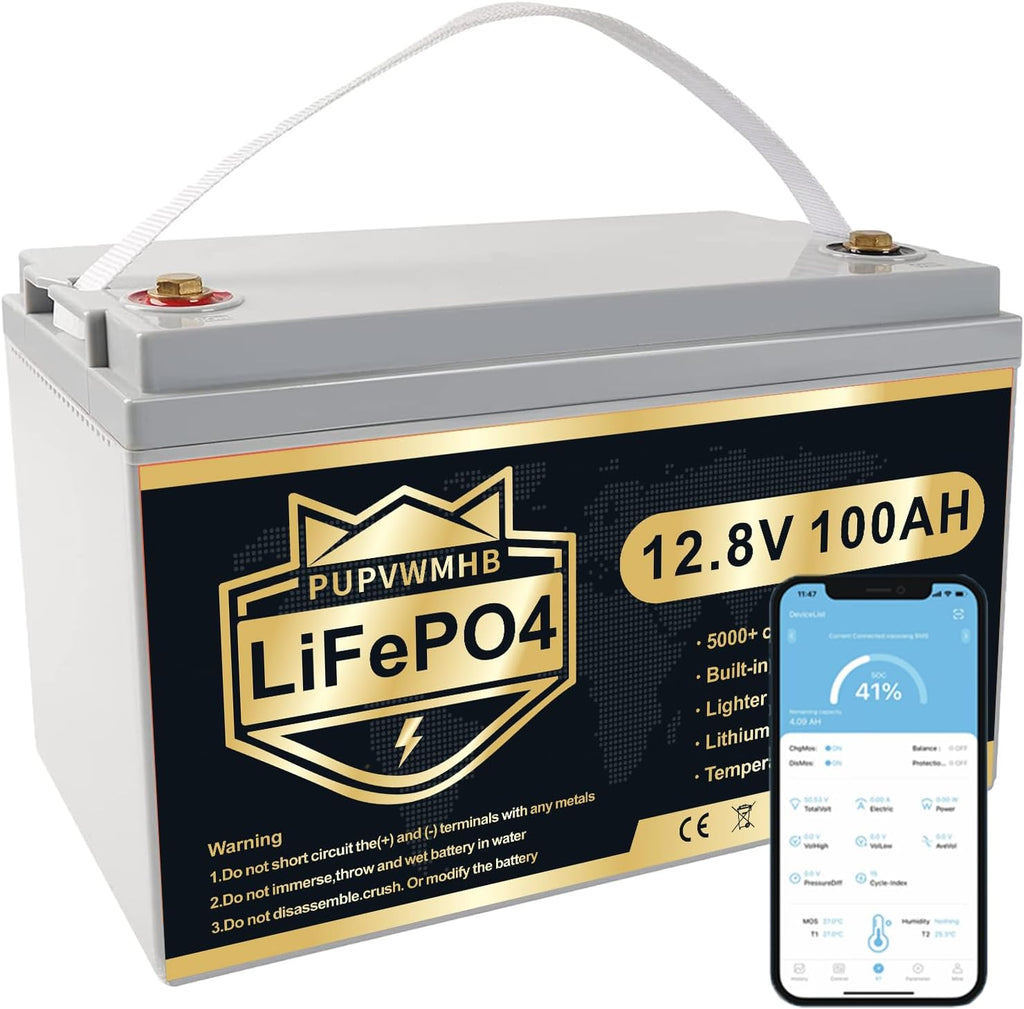 12V 100Ah Bluetooth LiFePO4 Battery with 100A BMS N825771