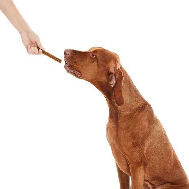 All-Natural Dental Chew Sticks U3142