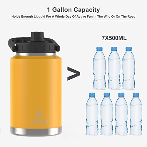 One Gallon Stainless Steel Water Bottle, 128 oz I528
