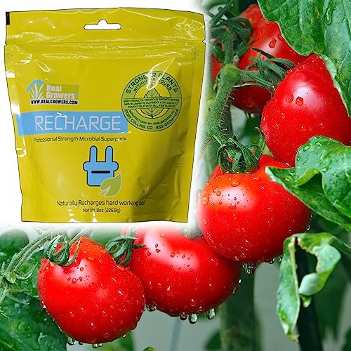 16 oz Mycorrhizae Instant Compost Tea Soil Microbes I996