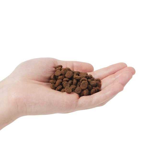 Chicken & Pomegranate Adult Dry Cat Food G2223