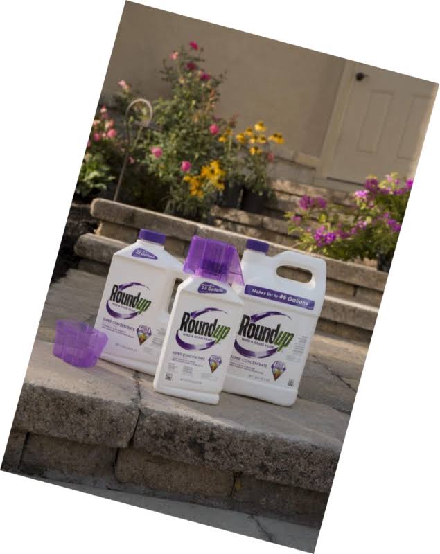 1 Gal Weed and Grass Killer N361591