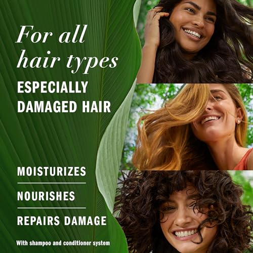Argan Oil Repair Shampoo & Conditioner Set, Paraben-Free, Color-Safe, 20.2 Fl Oz, 2-Pack X7177