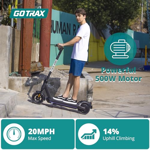 500W Motor 10" Solid Tire Foldable Electric Scooter N616