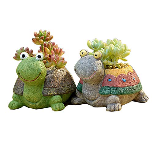 Turtle Resin Succulent Planter D645766