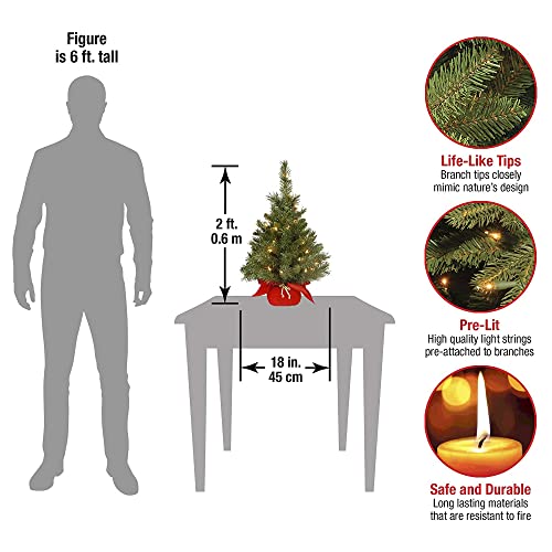 24 in Pre-Lit Artificial Christmas Tree, 35 Clear Lights, Red Cloth Base, Green W88962