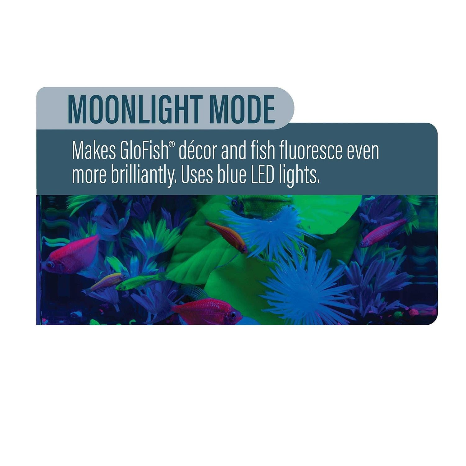 6 inch Blue LED Aquarium Light Q869
