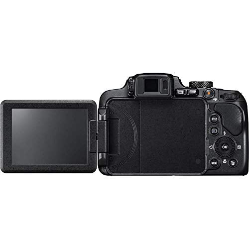 Digital Camera X99392