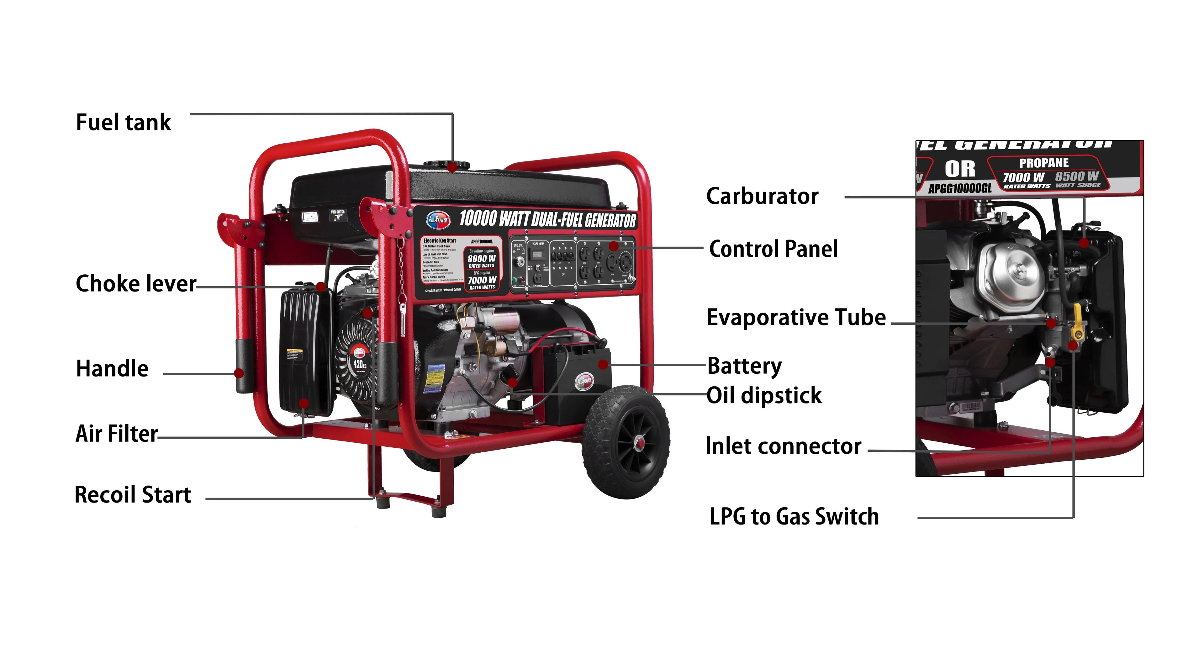 10000 Watt Dual Fuel Portable Generator with Electric Start I9647