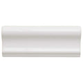 2 in. x 6 in. Glazed Ceramic Chair Rail Trim Tile F5430