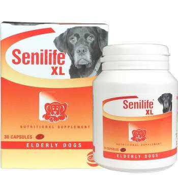 Nutritional Supplement for Elderly Dogs W921