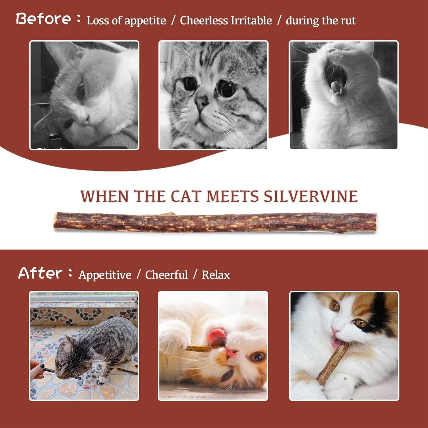 30pcs Catnip Silvervine Sticks Kitten Chew Toys Wooden Stick Teething Toys E358456