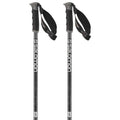 Arctic Ski Poles R42986