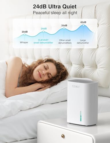 30 OZ Mini Quiet Dehumidifier R853