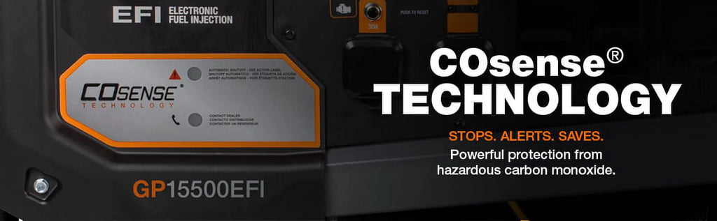 Gas Powered Portable Generator W347