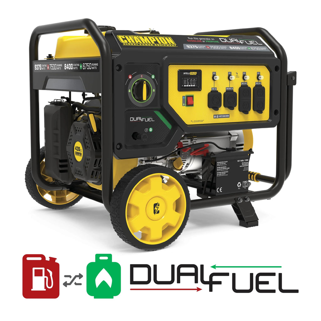 Dual Fuel Portable Generator with Electric Start Z471