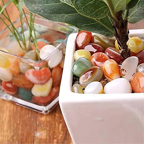 100 Pcs Mixed Agate Stone Tumbled Stones Natural Polished Stones Q6452