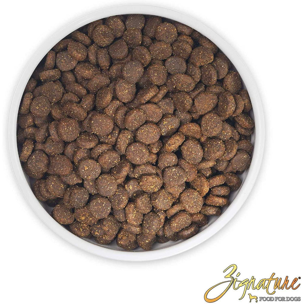 Trout & Salmon Formula Dry Dog Food Y91640