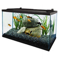 10 Gallon Glass LED Aquarium Kit A80215