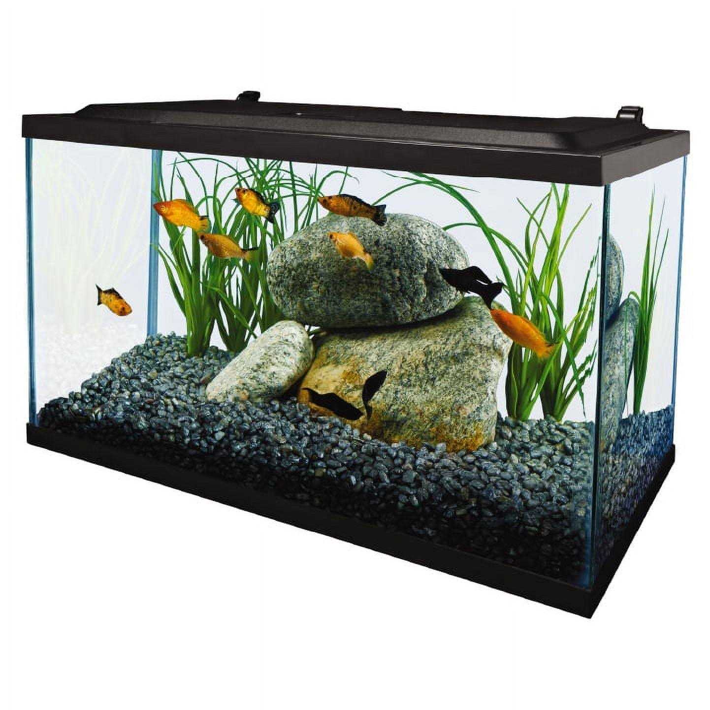 10 Gallon Glass LED Aquarium Kit A80215