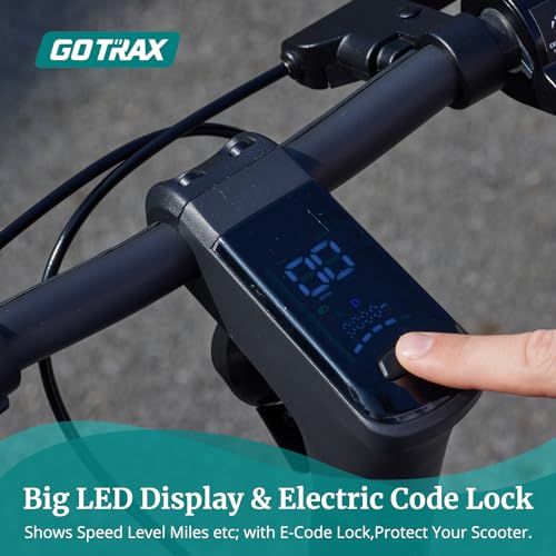 500W Motor 10" Solid Tire Foldable Electric Scooter N616