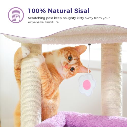 Natural Sisal Cat Tree with Cat Condo G124724